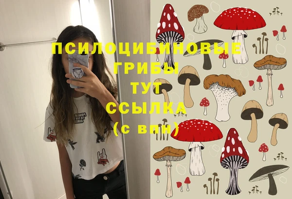 хмурый Абдулино